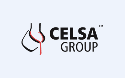 Celsa Group
