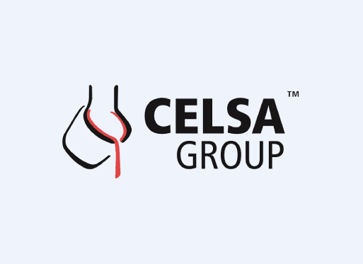 Celsa Group