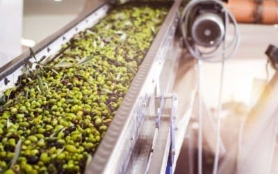 Borges International Group