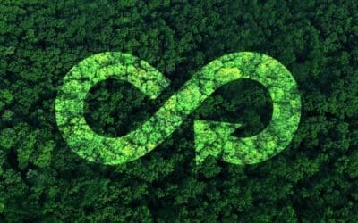 Économie circulaire dans l’Industrie 4.0 : une alliance stratégique